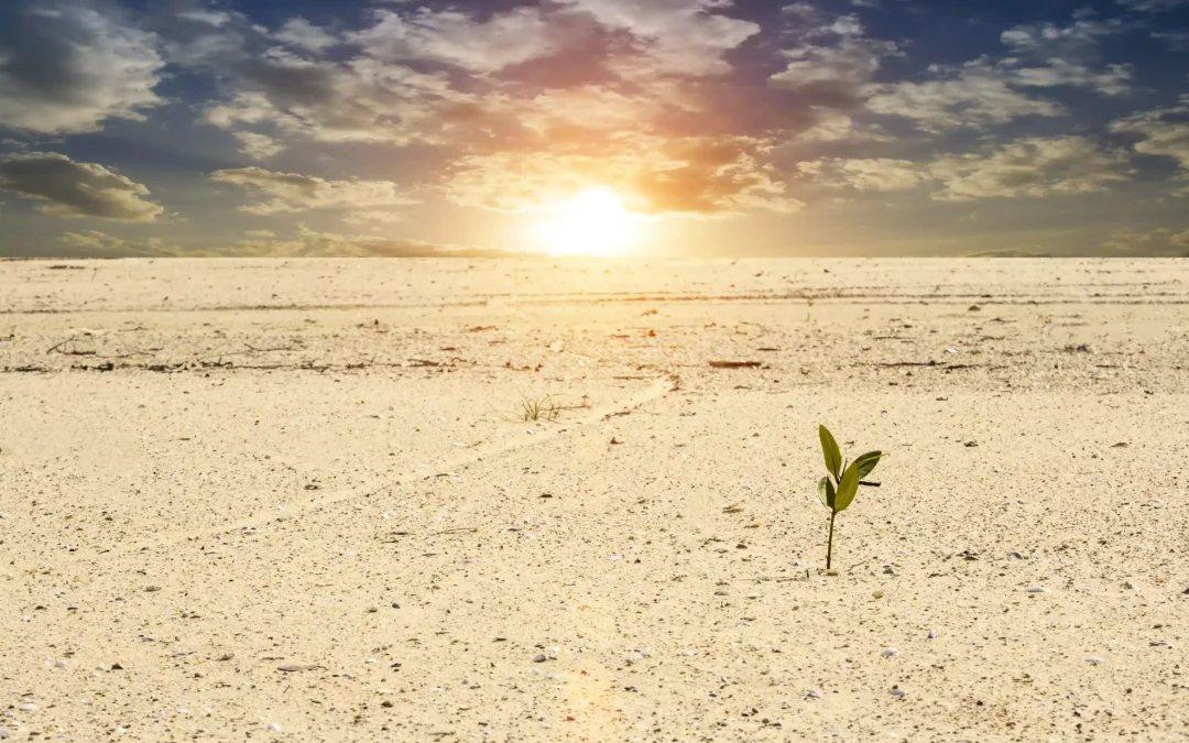 Growth Begins the Moment You Stop Pretending You Are Fine