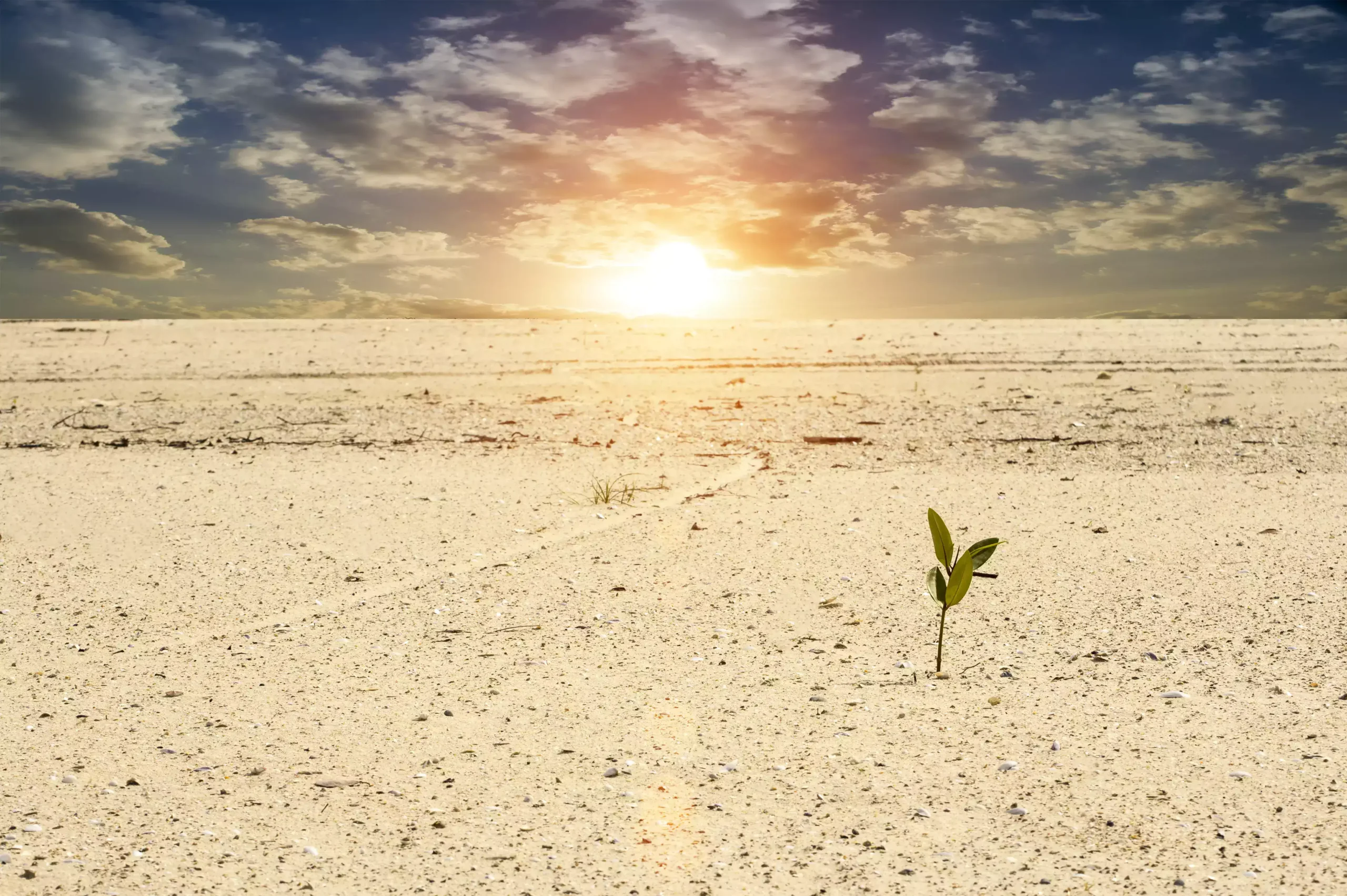 Growth Begins the Moment You Stop Pretending You Are Fine