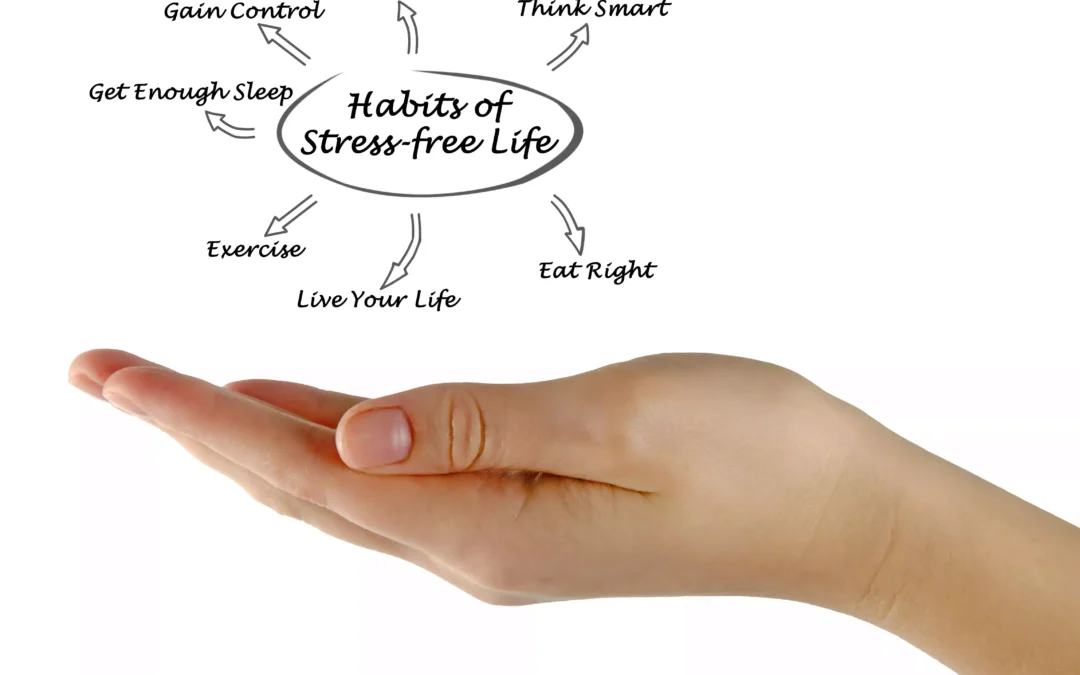 Simple Daily Habits That Restore Calm Without Changing Your Life